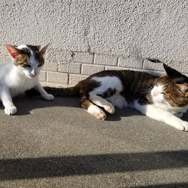 3cae60d3 612e 4175 b2af c62d822879b4 1601884127209