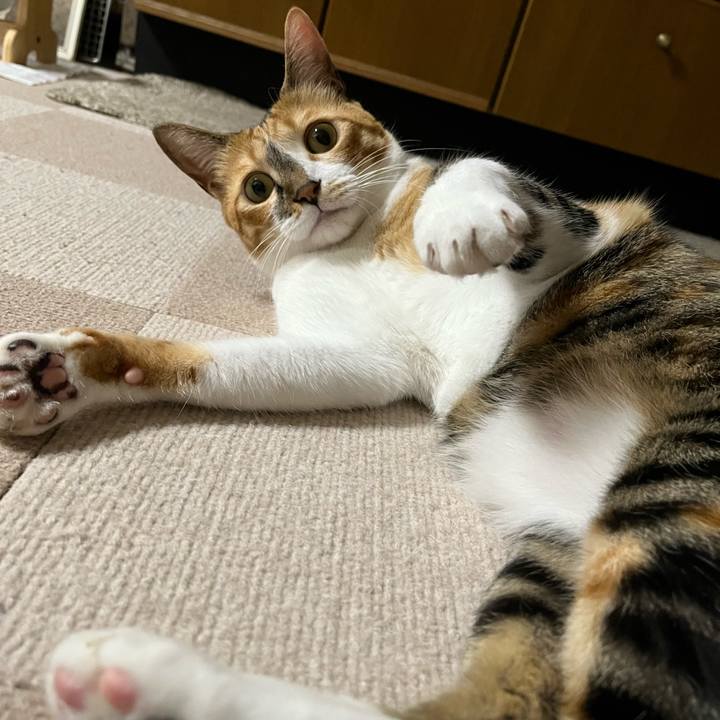 3cae6a1a 2340 44b4 b5e0 ee2bb848999c 1723501662944