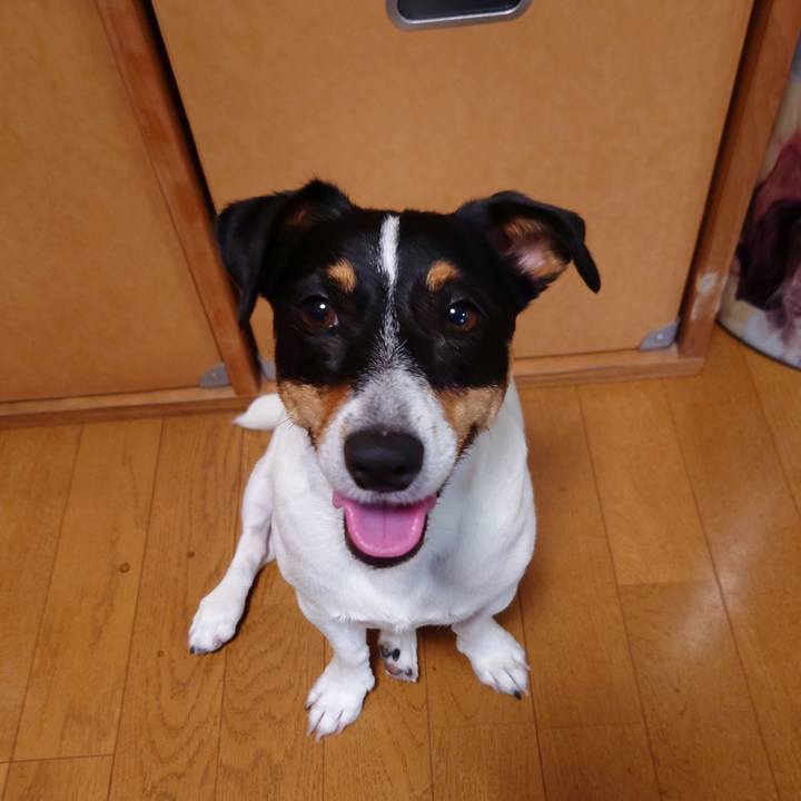 3cae6d39 11ae 4a01 acef c50572252552 1659878984034