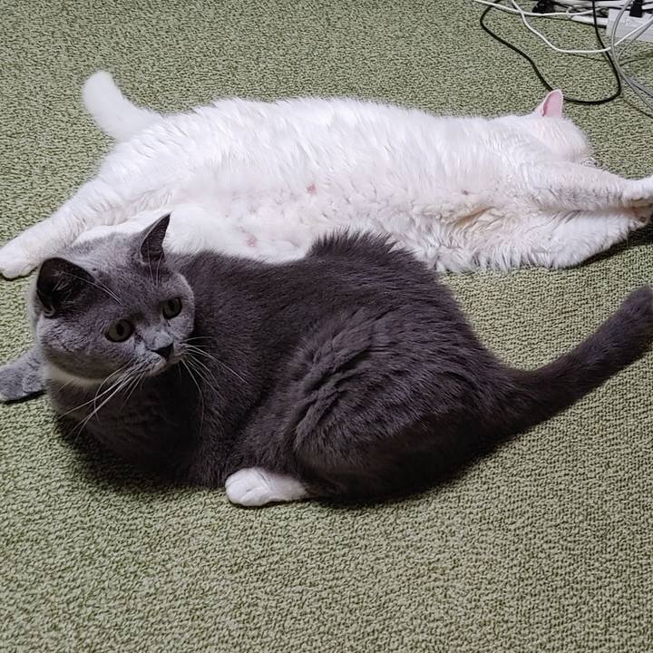 3caea1af 7462 48db 8856 d5a8e9d36bf8 1689674884737