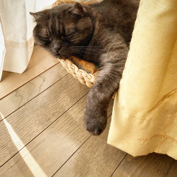 3caea936 ca23 490c 8222 e2a24963bb6d 1593415676298