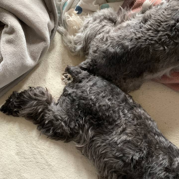 3caecee4 5b2e 412c a651 e4b2467efd0e 1601084671367