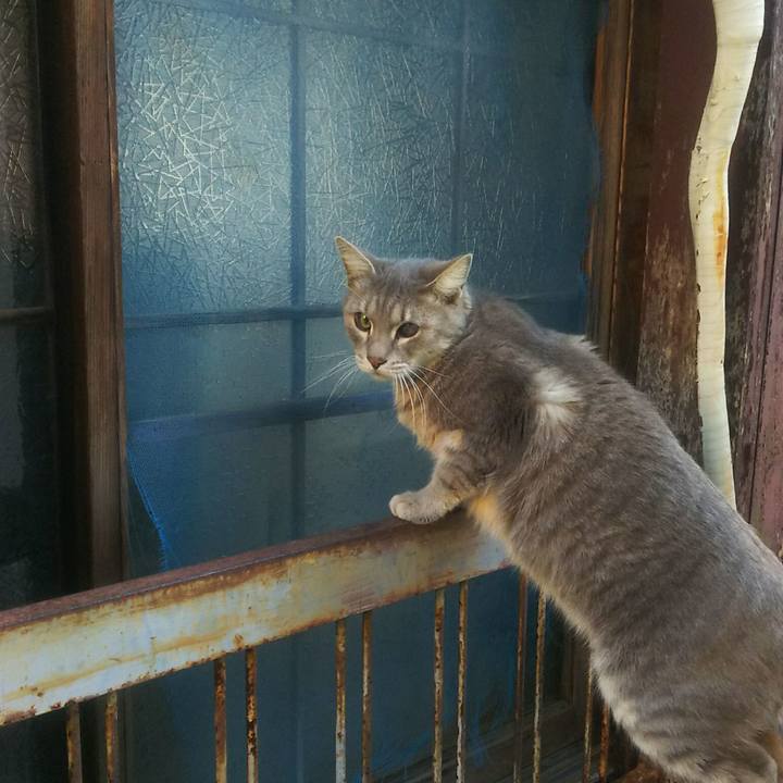 3caeeaba c713 4fe8 9cdd 27fd52724012 1547093552417