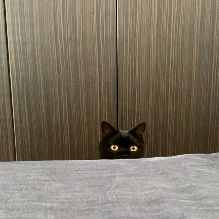 3caeed8d 8800 42f1 b42b 7a8e2801dd41 1668208508896