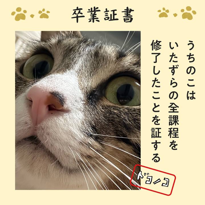 3caef312 2bf4 40a1 ada3 b0240a552d6b 1772103324705