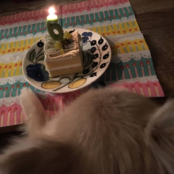 3caf14e2 fbc7 4d5d 9761 352a9ea61c26 1518083213162