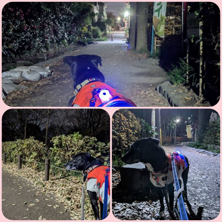 3caf2ef6 8ac2 42ac b416 9fb8403896a3 1734691107588