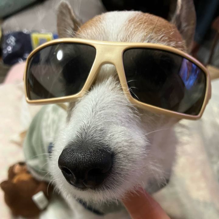 3caf416e 04ac 416f bc8c 8c2a5bb3a8c1 1682724385395