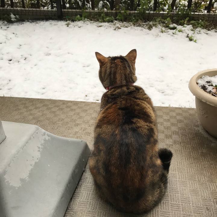 3caf634a 206b 4eca 8f84 3f109068c791 1517525233848