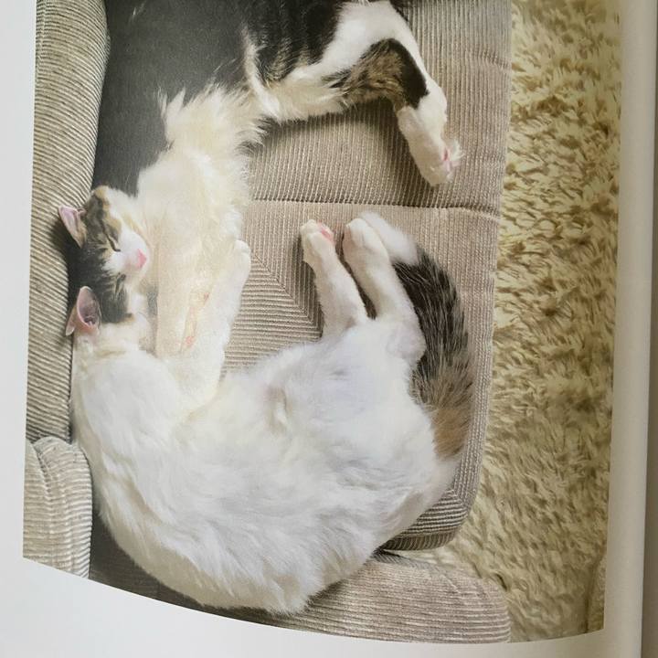 3caf7aa7 f22f 4887 abe0 c5ce15df26c5 1664838827486