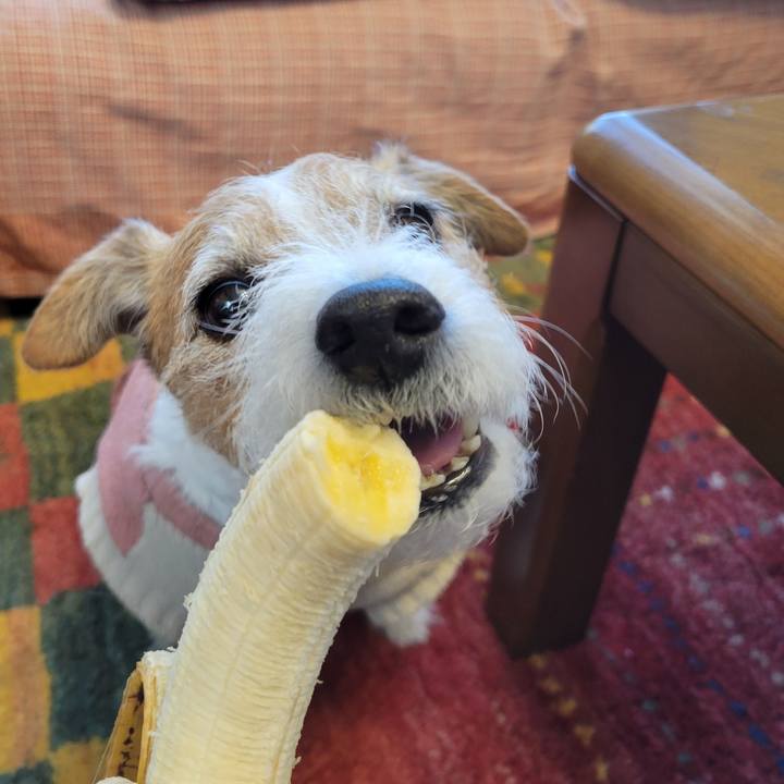 3cafbd71 cf3b 4c66 8fff 88b8d07a6e0d 1736466441596