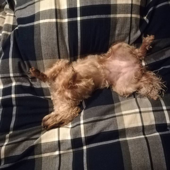 3cb01478 ad2f 4070 800a b23ad69e7f9b 1554297400527