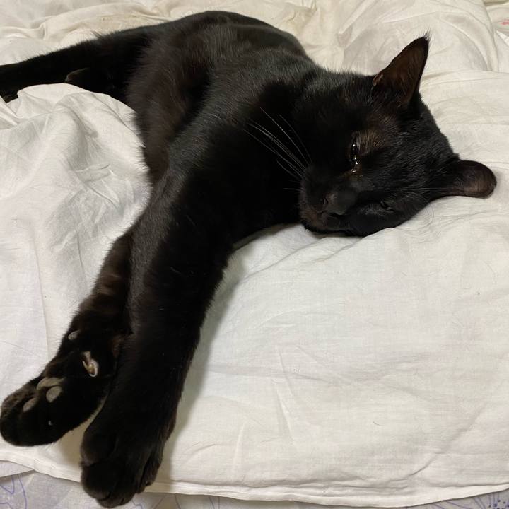 3cb0223b 148e 40ff a801 c2e1be3fa462 1609762712599