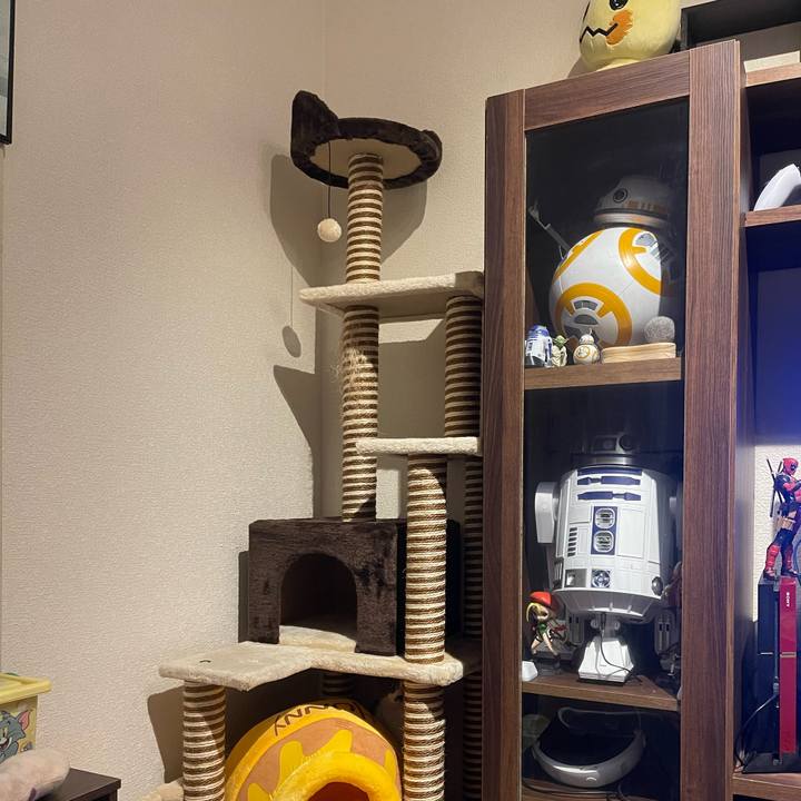 3cb09069 06b7 4d17 b5f5 c65391e88839 1679656861881