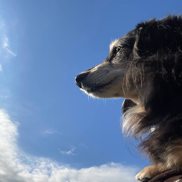 3cb09720 8a34 42dd 9b2e f3272138f23c 1700526157853