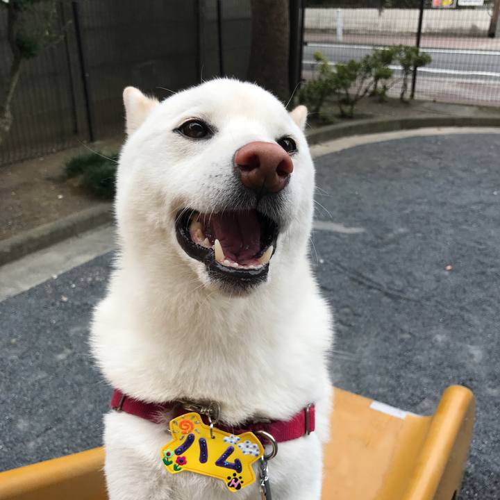 3cb0cbce daad 44f8 9e47 a704c602c242 1534724319732