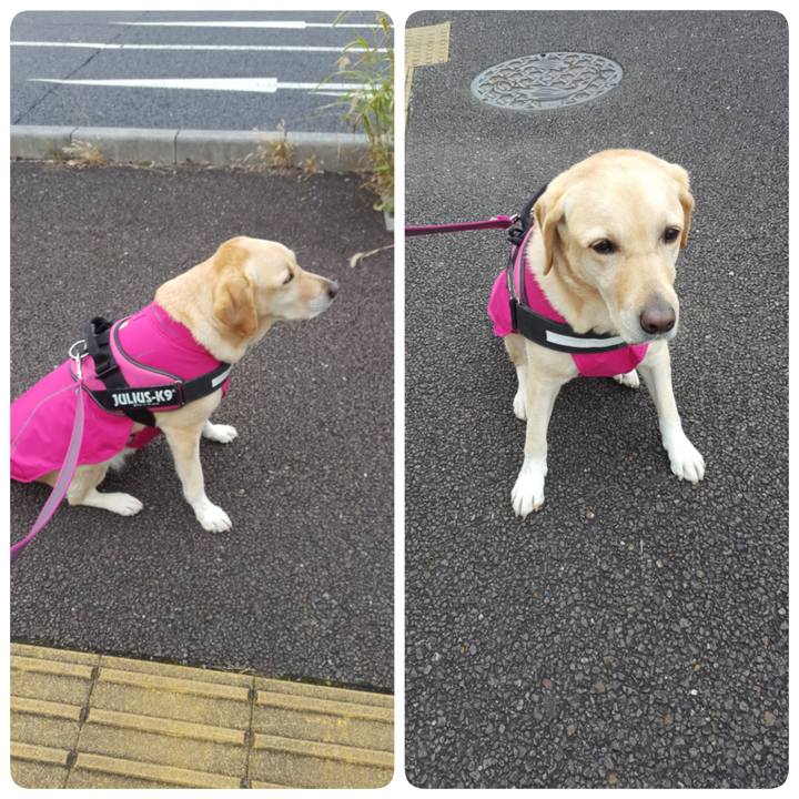 3cb0cc89 901f 49de 9d48 f56af0bfc91d 1577352968825