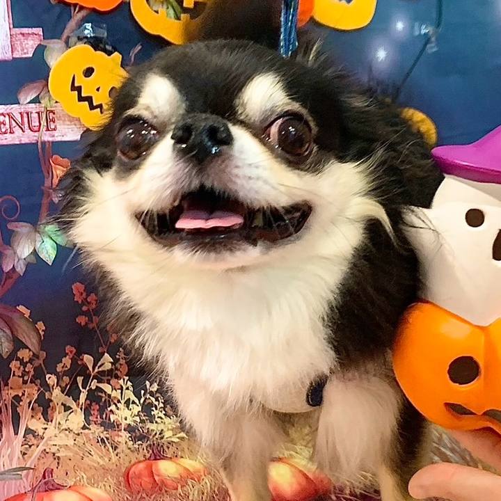 3cb0dcfd 6870 49db a499 c4c6cbcd7798 1760200376987