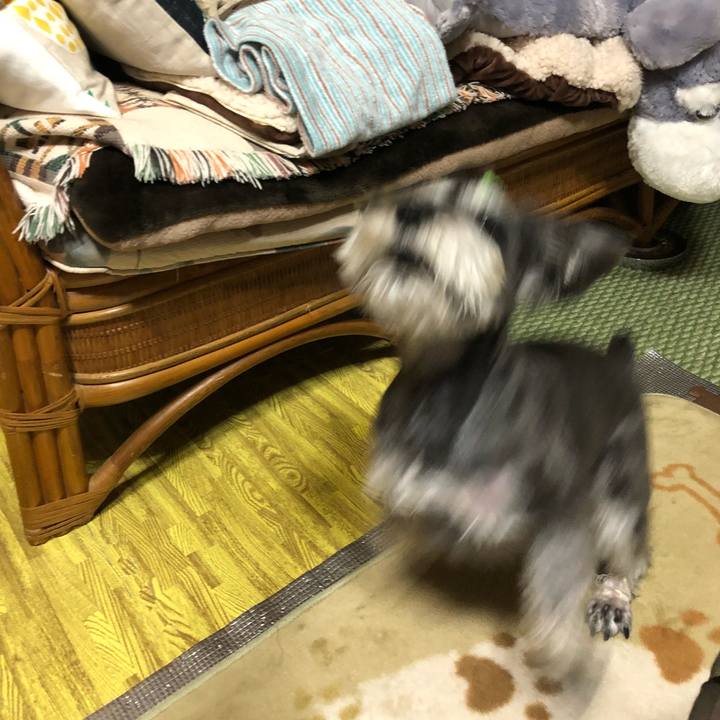 3cb10bea 3d82 4347 bdbd 3211bd8bd234 1517043561858