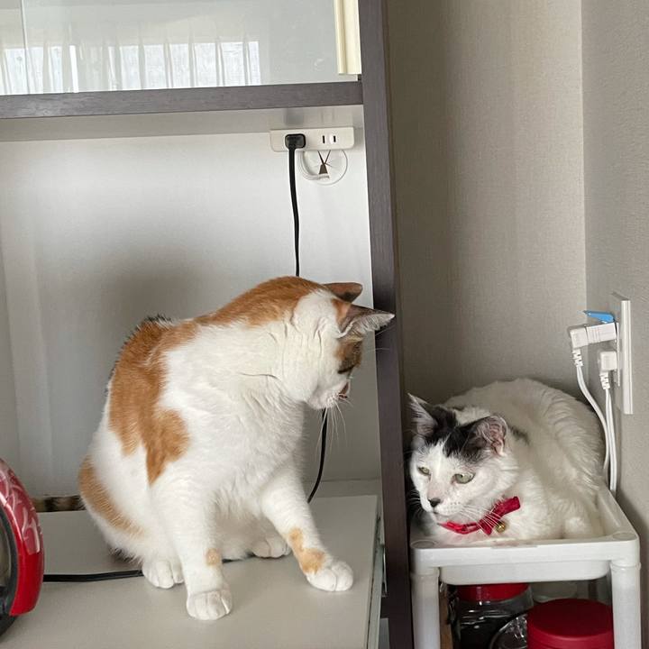 3cb11f25 d5c0 4392 ade9 87f87fa9698c 1624245978275