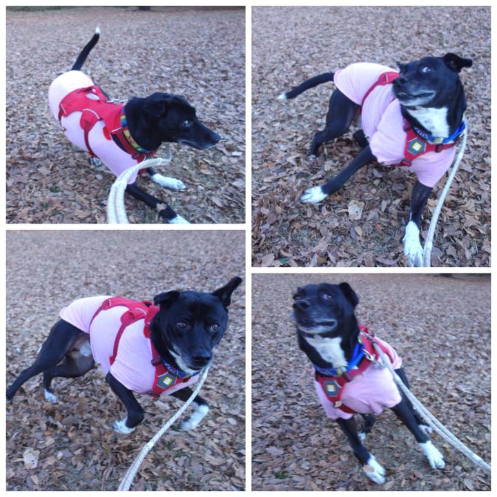 3cb13b3e 42ae 4b8a a336 f6769da6ac6f 1674861665893