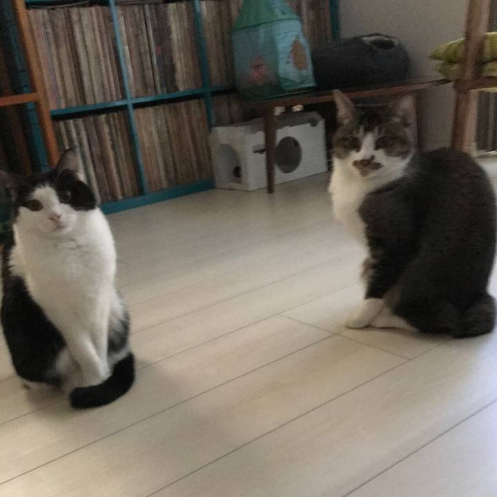 3cb14f93 b17b 4c62 9993 951b30b8268d 1516175155254