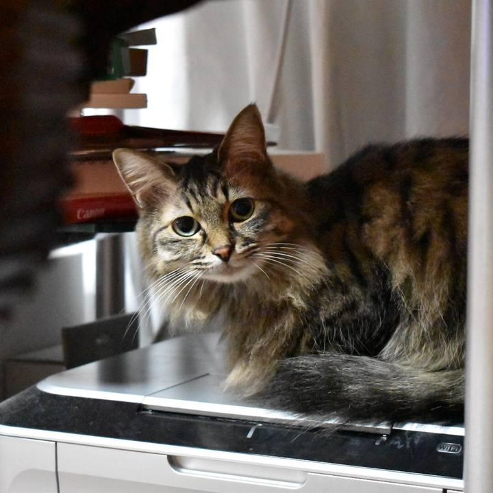 3cb159ee d90f 4dae b481 a54666da8162 1608865358714