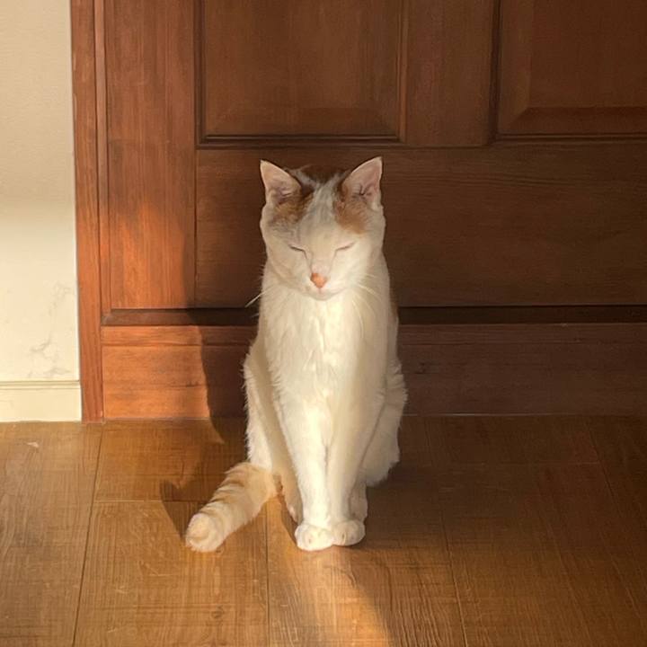 3cb1aeba 75bc 4d98 9c14 8b1379d8bb82 1731281078977