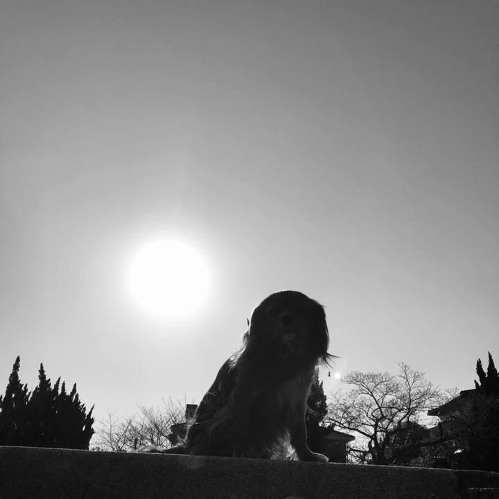 3cb1c952 a3aa 41ec 9644 534a522adfa3 1584708870093