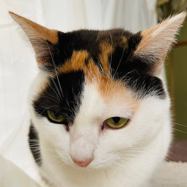 3cb21399 3b10 4bf9 8dad 304f17a6ef2d 1613178293342