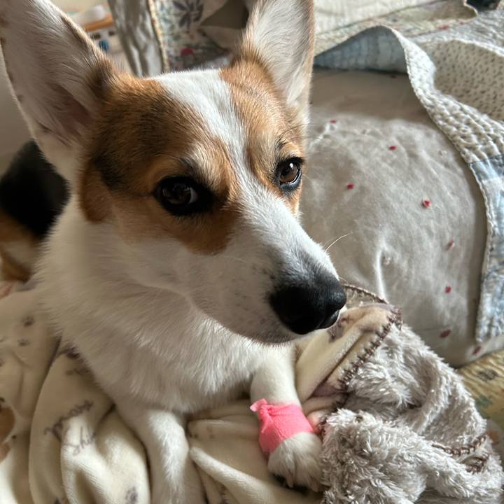 3cb224e5 f390 4d3f 8d4e 390cede99b2c 1766055902080