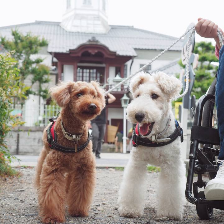 3cb23b4d dd07 4831 9a3f 03fe5a8cd57c 1560246688499