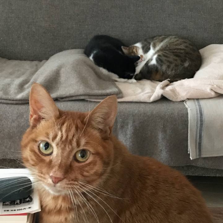 3cb23f31 922f 4a1d b01a 66d384a0867b 1516169351886