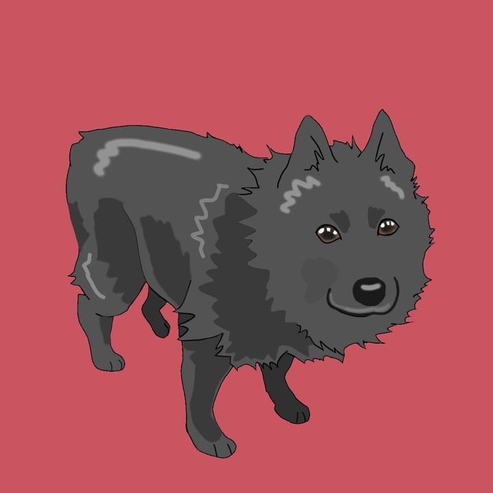 3cb243a3 c469 4578 833b 4cda30cd413b 1664843986231