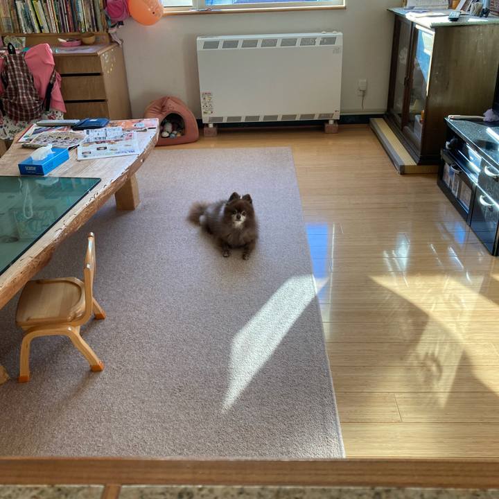 3cb24999 d384 417a 988d c43d189ff267 1666999903495