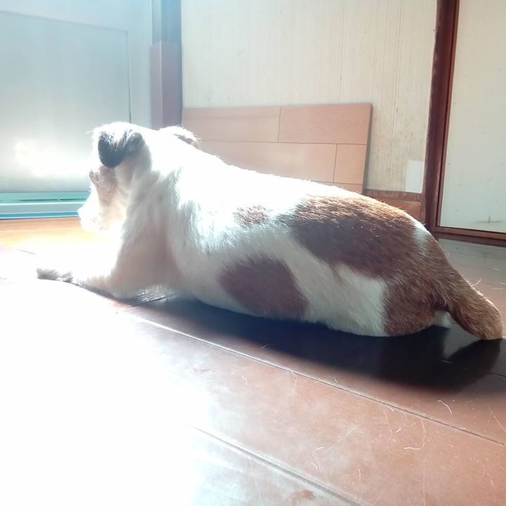 3cb26ff5 0c88 47f6 a6f4 5576e7a3e945 1572949500032