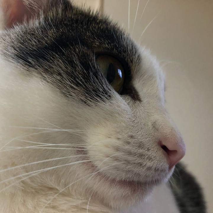 3cb28477 1319 4230 b549 db87661680ec 1625228398070