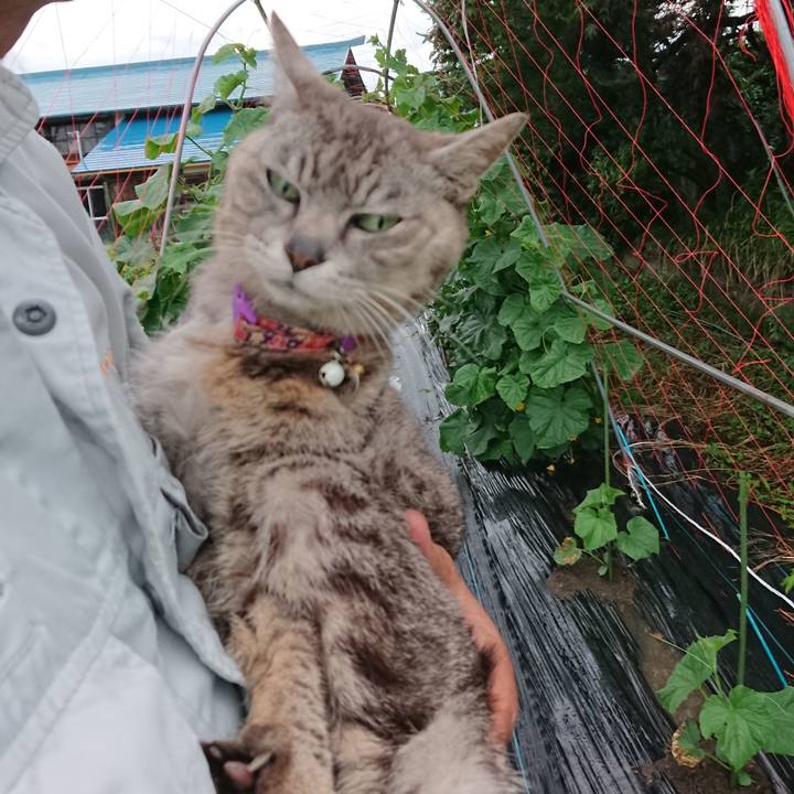 3cb296d8 a78b 491b 9f71 6dbc1f4950d3 1593596693887