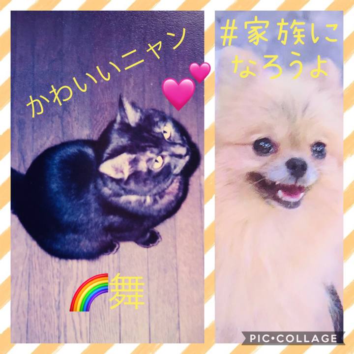 3cb2b1f5 11fb 4ca8 967d 42a1d775d173 1602305862992