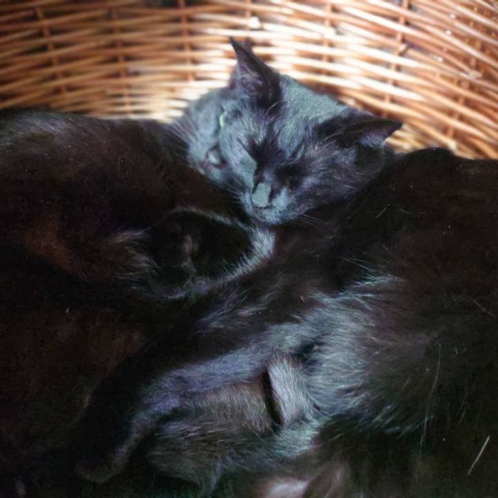 3cb2b612 6a09 4428 817c 7131a71276c9 1614492339850