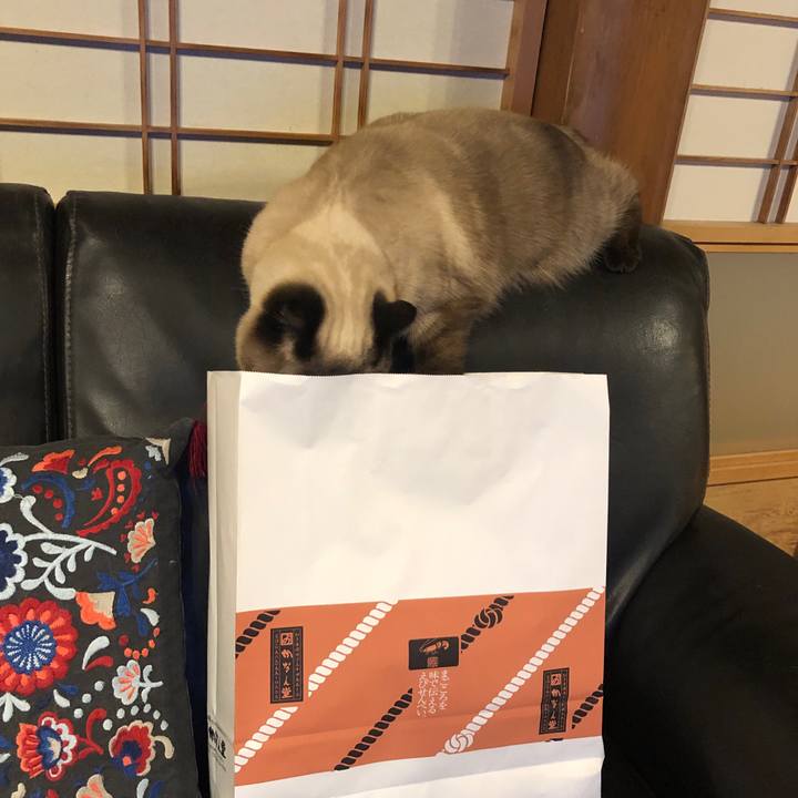 3cb2bbeb a16c 453f 8f05 033aaa925152 1614668404433