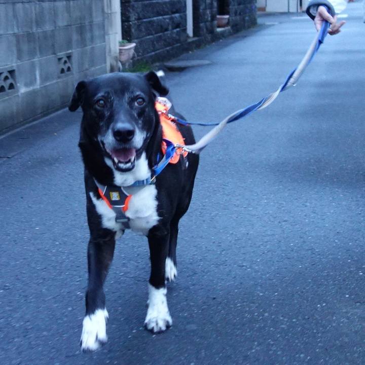 3cb2ce09 5880 4832 9aeb 7f7be5ae5b5e 1748696310497