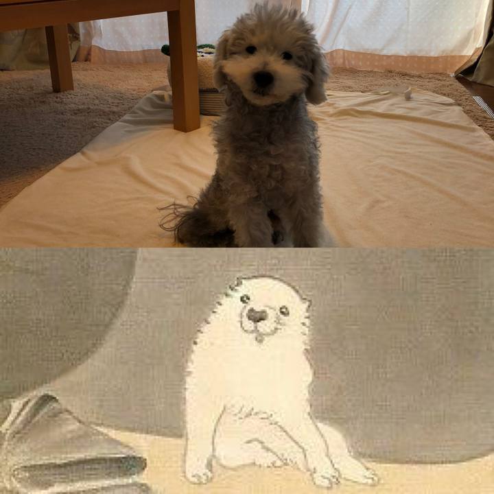 3cb2f8d8 cf2e 4864 a80b 7b18a677a5a7 1607939344141