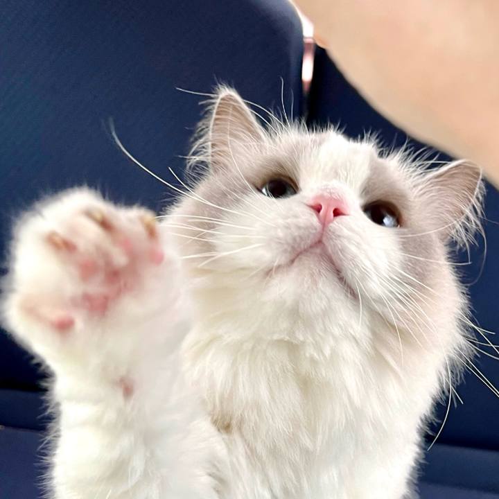 3cb314c4 2fdd 46d4 8a2f 1836078e69db 1759203874652