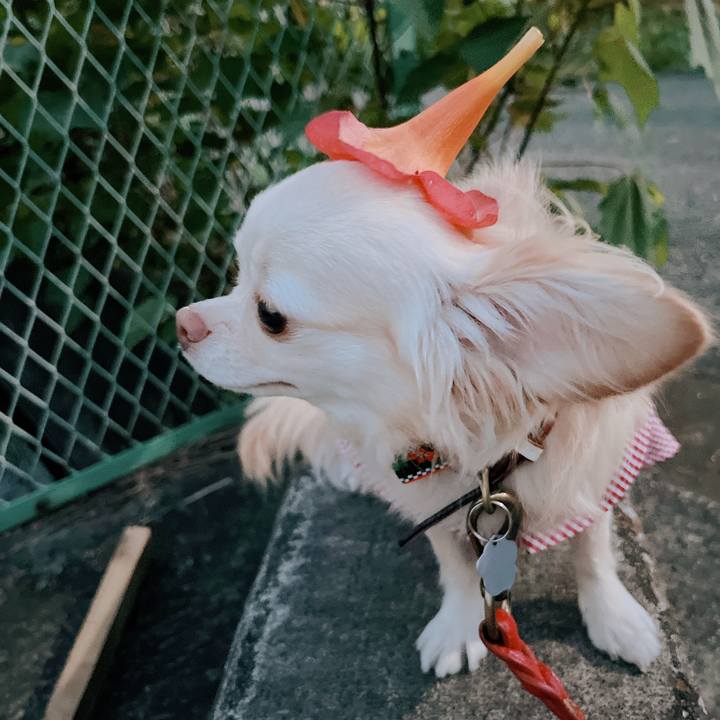 3cb346e5 1431 42d5 878f 693df9068834 1660988483742