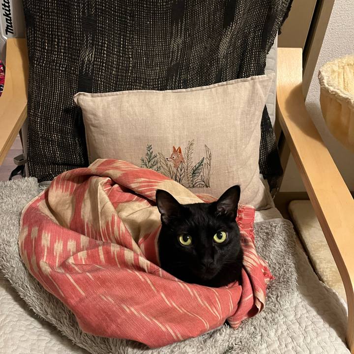 3cb34a79 6f1e 4193 8953 64cfe4eae9ab 1762261314600