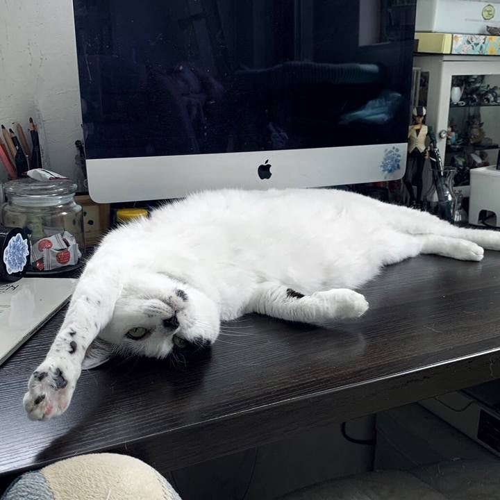 3cb36729 940f 4a3d a25e 5f566443df5e 1598023834628