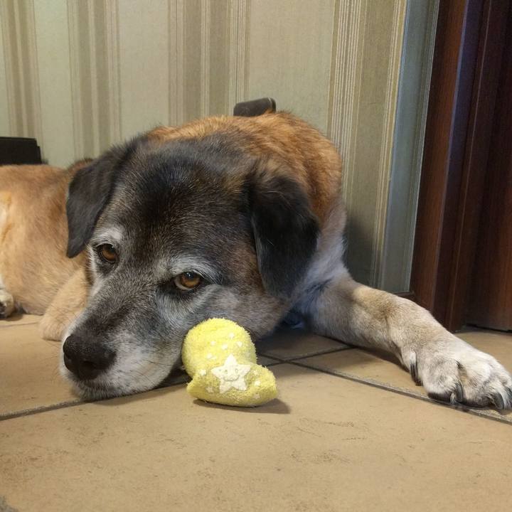 3cb367ec 0bea 42f9 a95c aaf018ebe41e 1550475167035