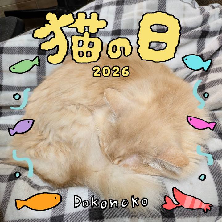 3cb37627 254e 4a58 8bec ba375d57f275 1771717910838