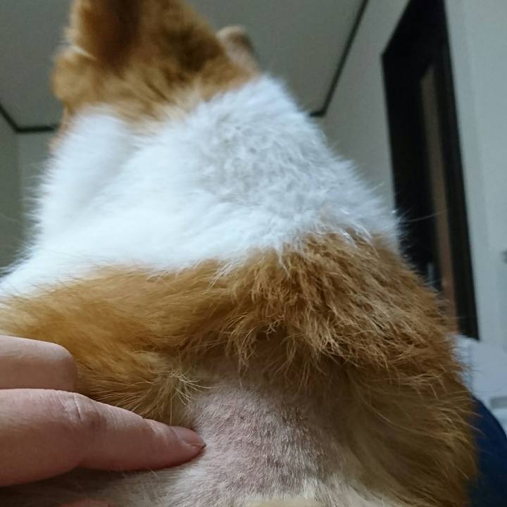 3cb37e5e 2ccf 4ae1 a792 df71624cecef 1545733731827